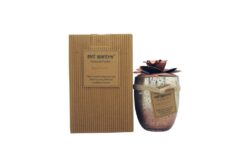 Bali Mantra Camellia Glass Copper Kaars 500g - French Vanilla - Ellavee